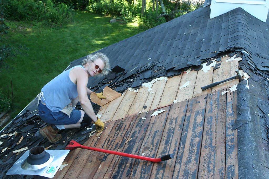 A woman putting down the old shingles on the roof