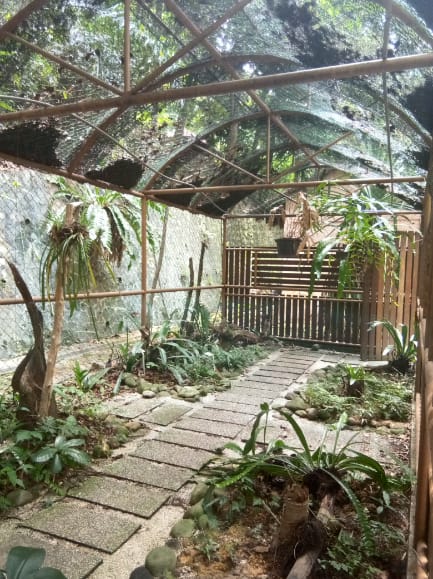 Fern house and outdoor aviary