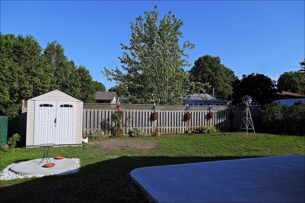 A spacious backyard with a shed situated on the left side of the plot