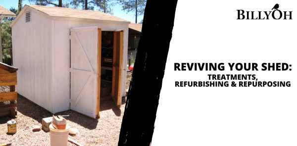 Reviving Your Shed: Treatments, Refurbishing & Repurposing