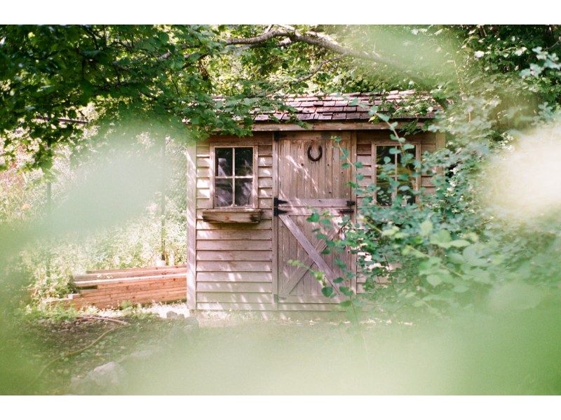 shed out in the woods