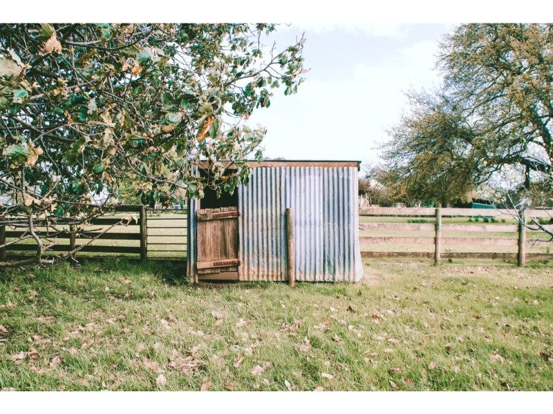 metal shed against a fence line in a field with overhanging trees