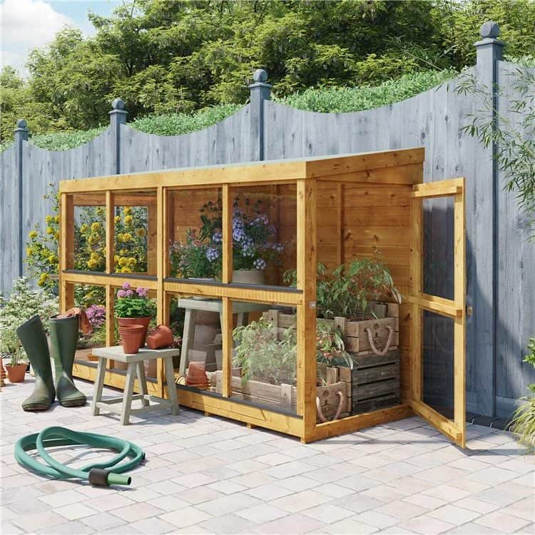 5 Best Plants To Grow In Your Greenhouse
