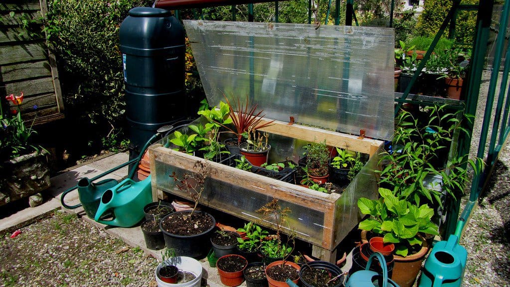 DIY cold frame using wood and corrugated plastic, featuring space beneath that helps protect the contents from frost while also providing a handy storage space for plant pots.