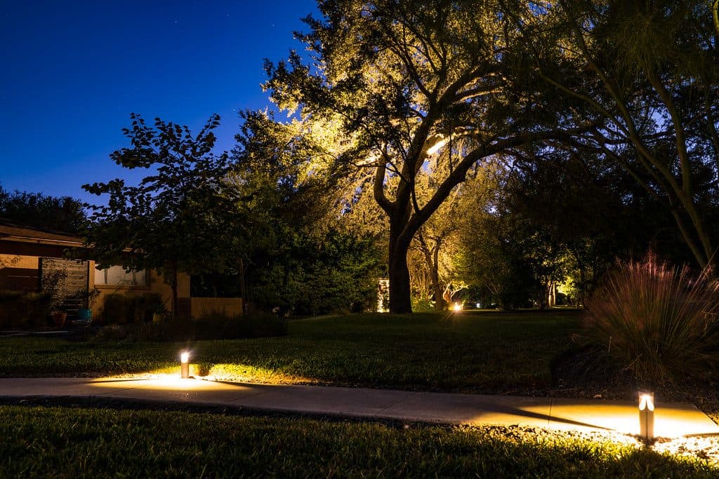 Garden pathway with lights