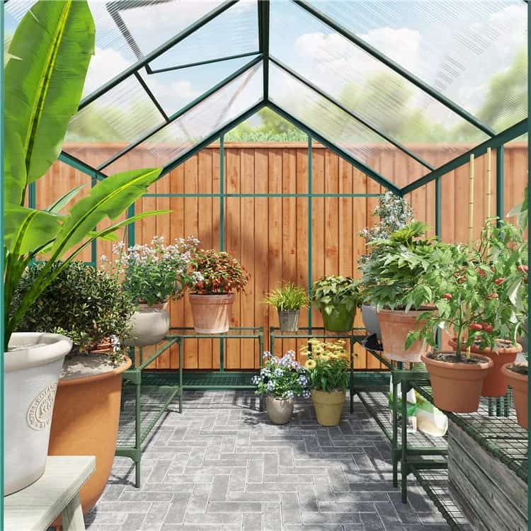 Glass vs Polycarbonate Greenhouse Who Wins?