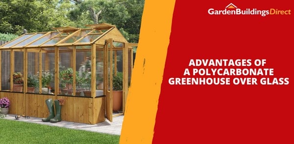 Advantages of a Polycarbonate Greenhouse Over Glass