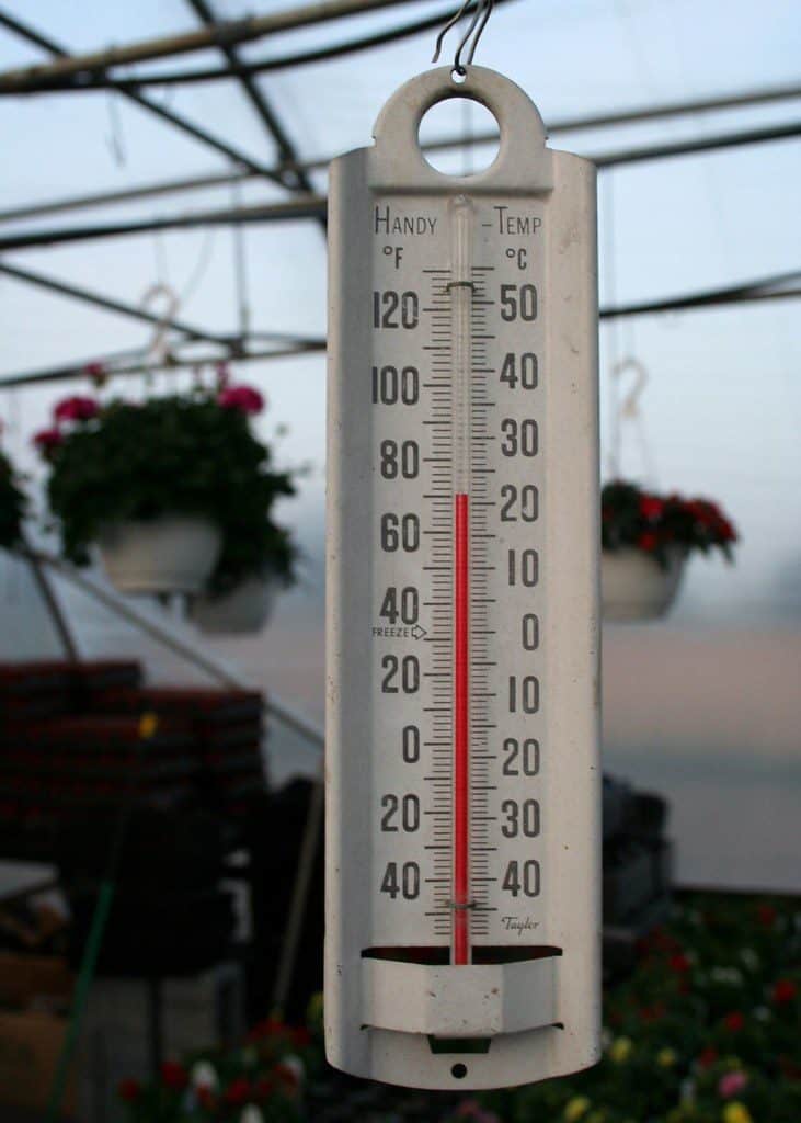 Thermometer inside a greenhouse