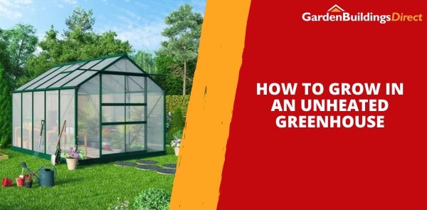 How to Grow in an Unheated Greenhouse