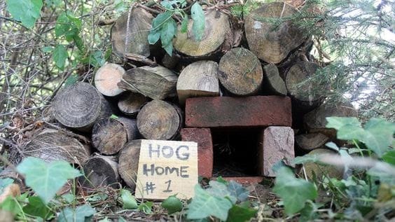 hog home #1 hedgehog hotel with bricks and logs