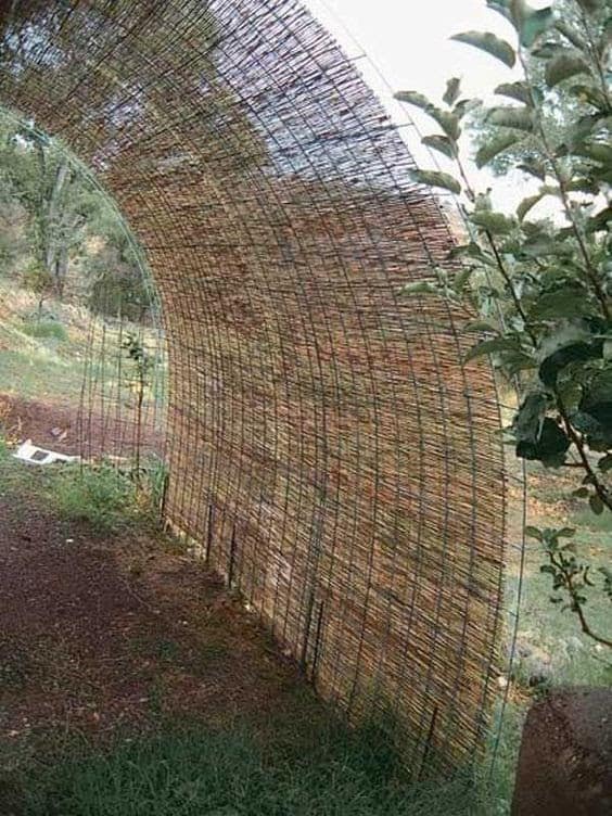 wood in a cylindrical archway formation over a path with some tree bark on the ground