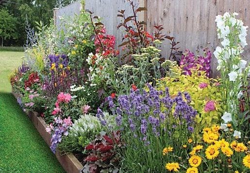 wildlife planter border with flowers
