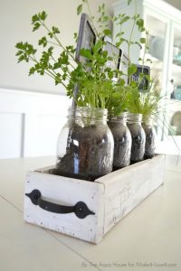 plants in old clear glass bottles in a small thin white drawer with a black handle for easy transportation