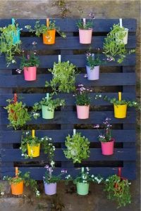 an old wooden pallet painted navy blue with coloured plant pots hanging off