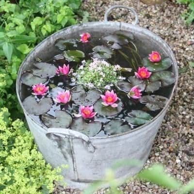 small metal bucket pond with lilipads