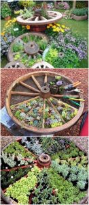 old wagon wheel water wheel with wooden spokes filled with plants