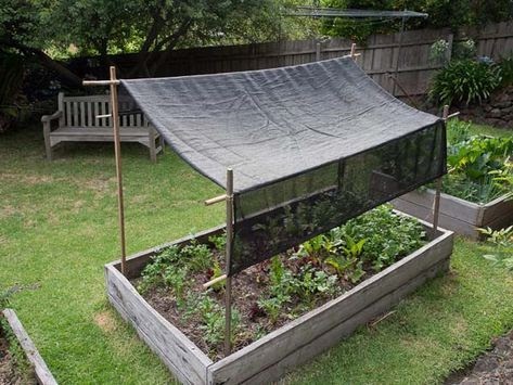 a plant/flower bed covered by a tarpaulin suspended above the plants to cover them from the sun and create shade with wooden poles at each corner