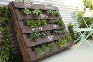 wooden pallet painted brown and lent up vertically against a wall with plants in the gaps between the rafters