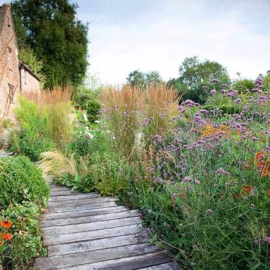 wooden path leading through tall flowerbeds