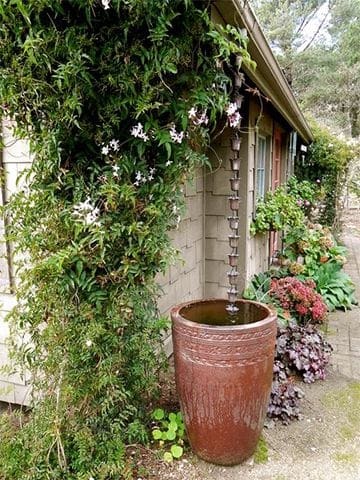 house with a large pot and climbing plants