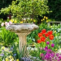 a stone bird bath surrounded by bright flowers