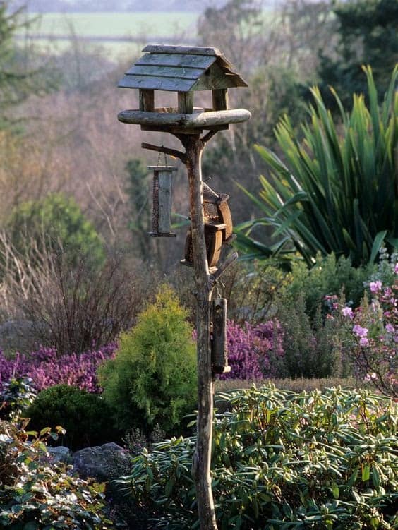 wooden birdhouse backed by plants and fields