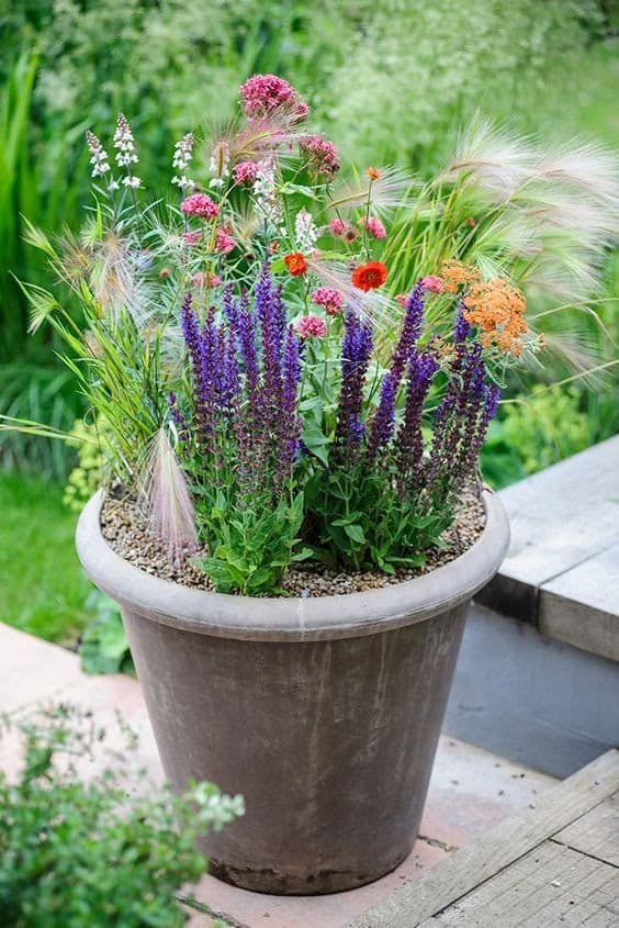 mini meadow in a plant pot