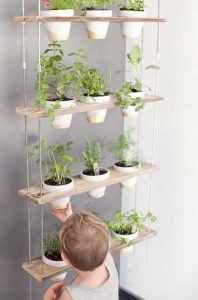 plant pots hanging through planks of wood with holes cut into them from plant pots and joined together by cables