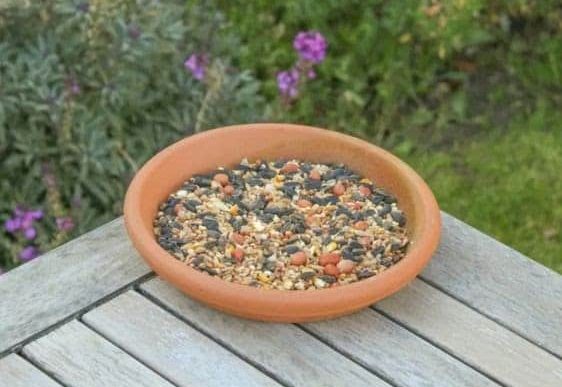 bowl full of birdseed on wooden table