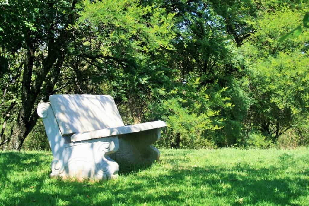 Concrete bench shaded by the trees