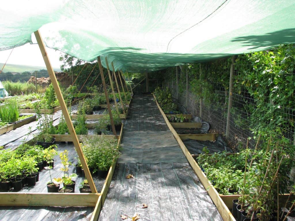 Shade covers for plants