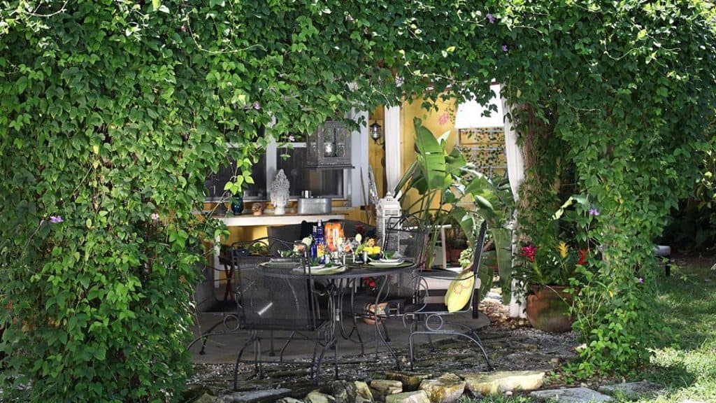 Garden dining area under a pergola full of vines