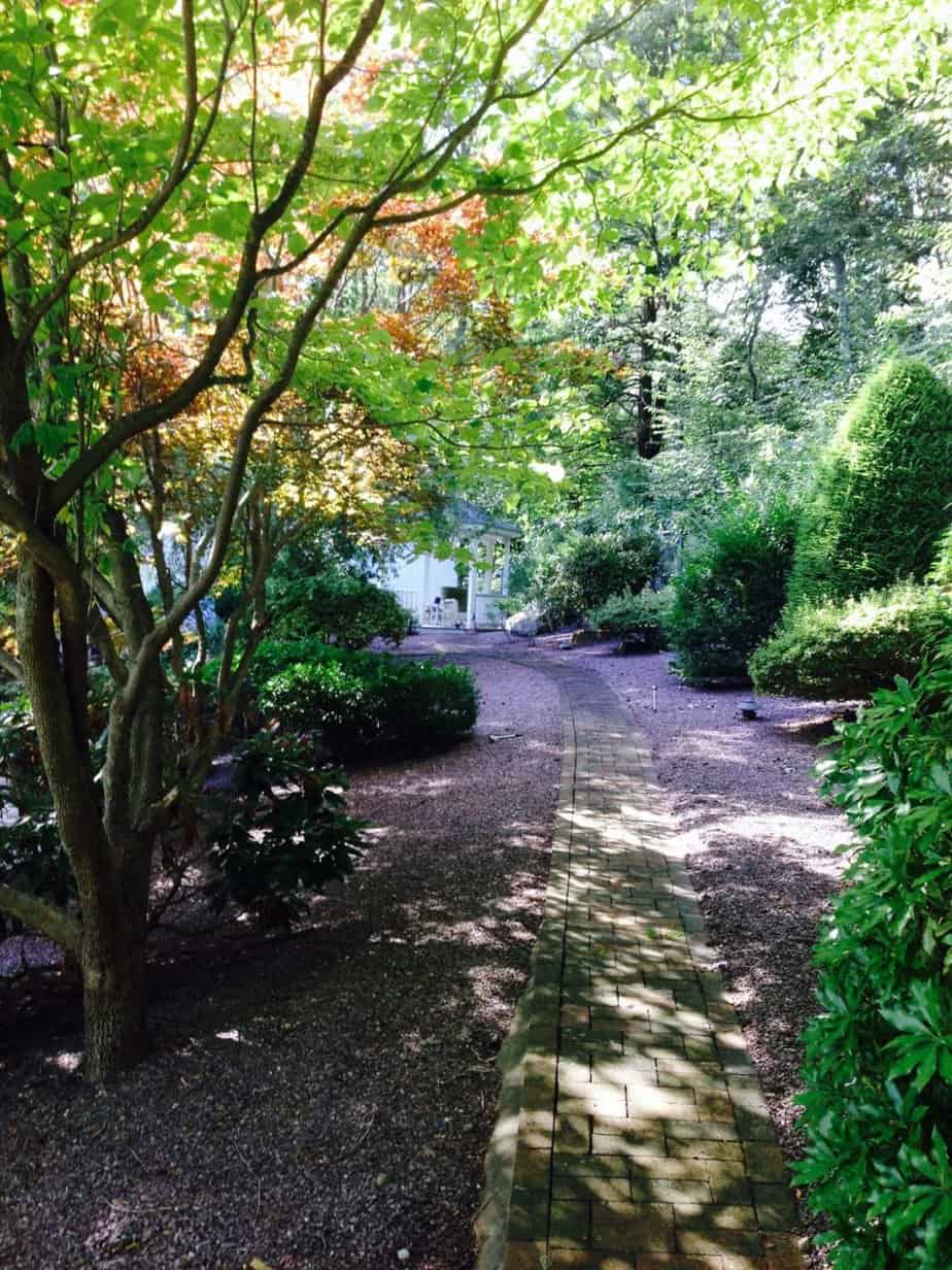 Shaded garden path with surrounding trees and big shrubs