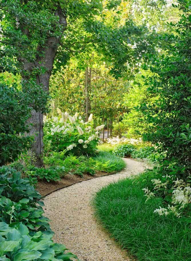 Shaded garden pathway