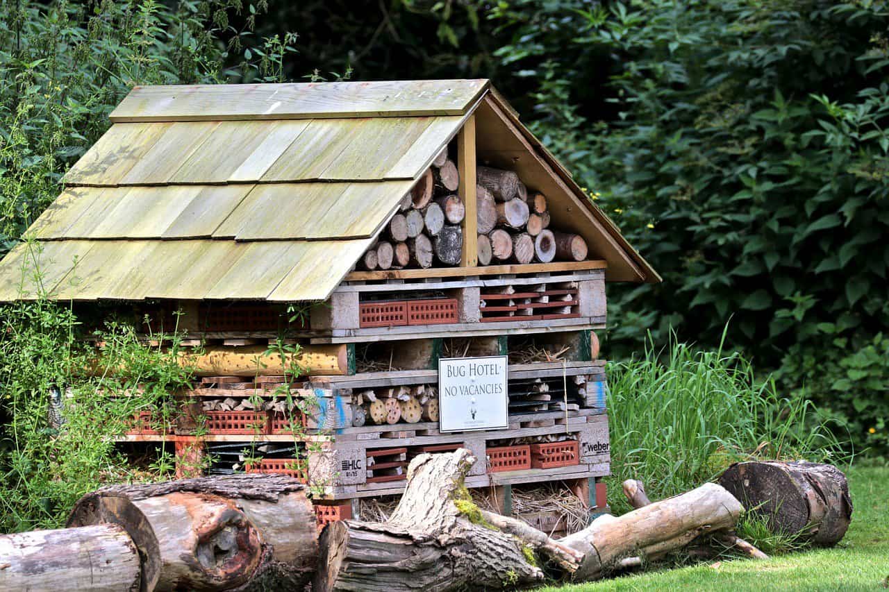 DIY bug hotel