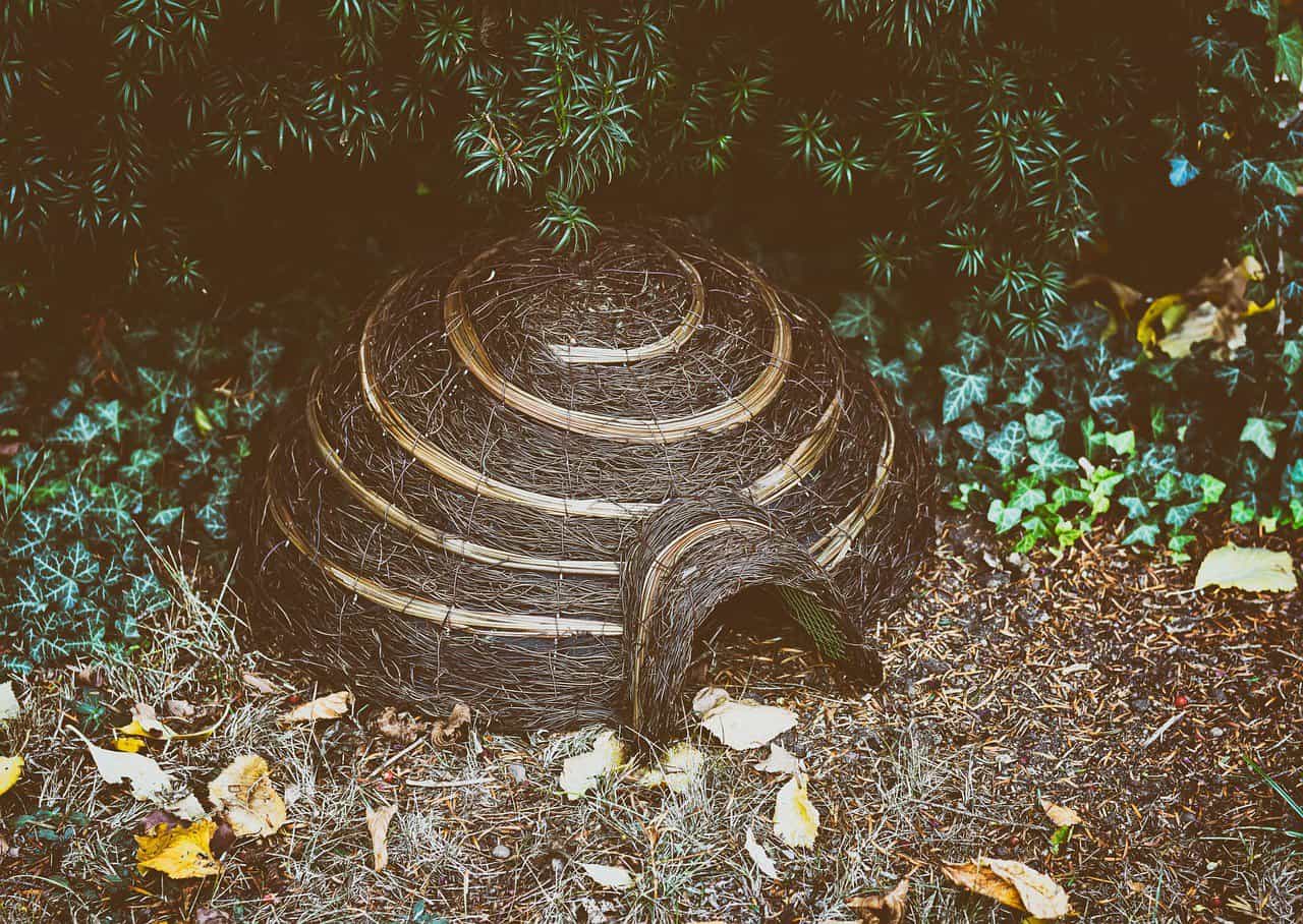 Hedgehog house