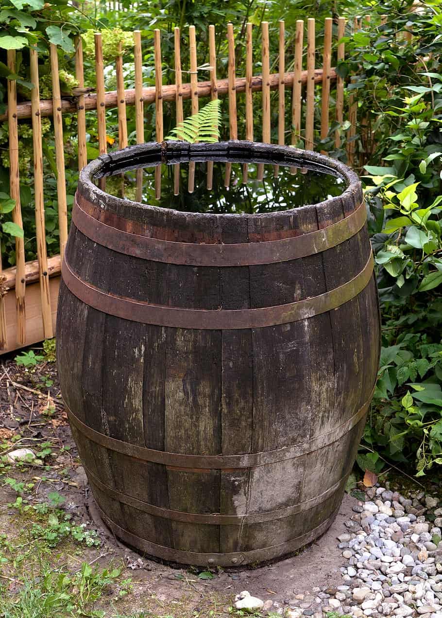 DIY barrel garden pond