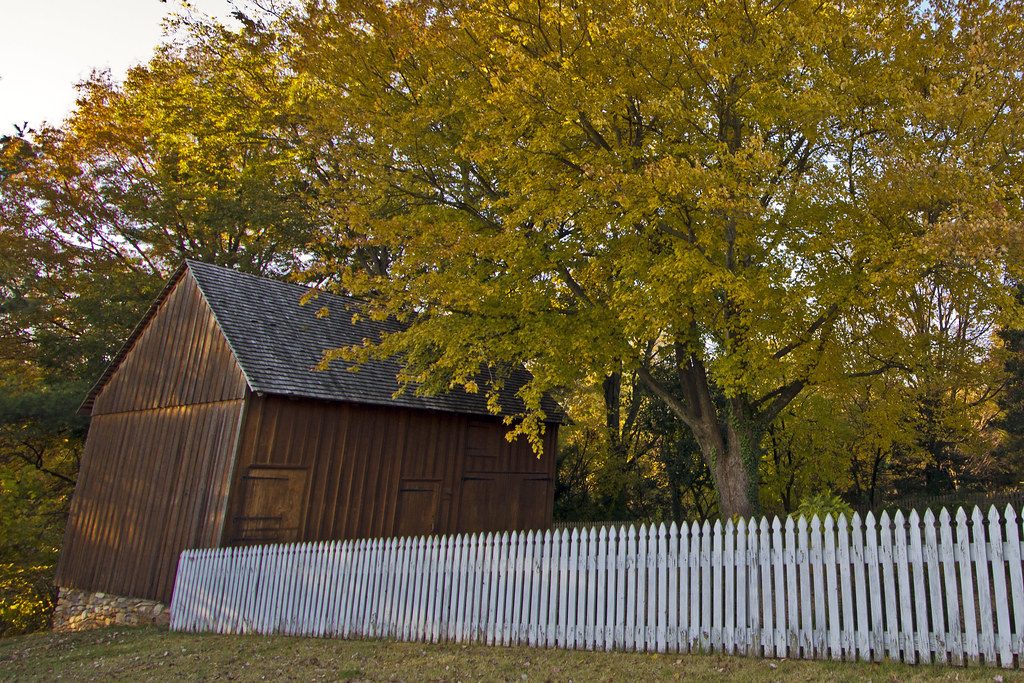 Wooden garden shed with white picket fence