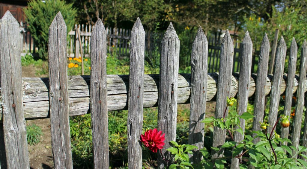 Old wooden shed fence