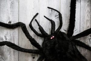 Fake black furry spider decoration