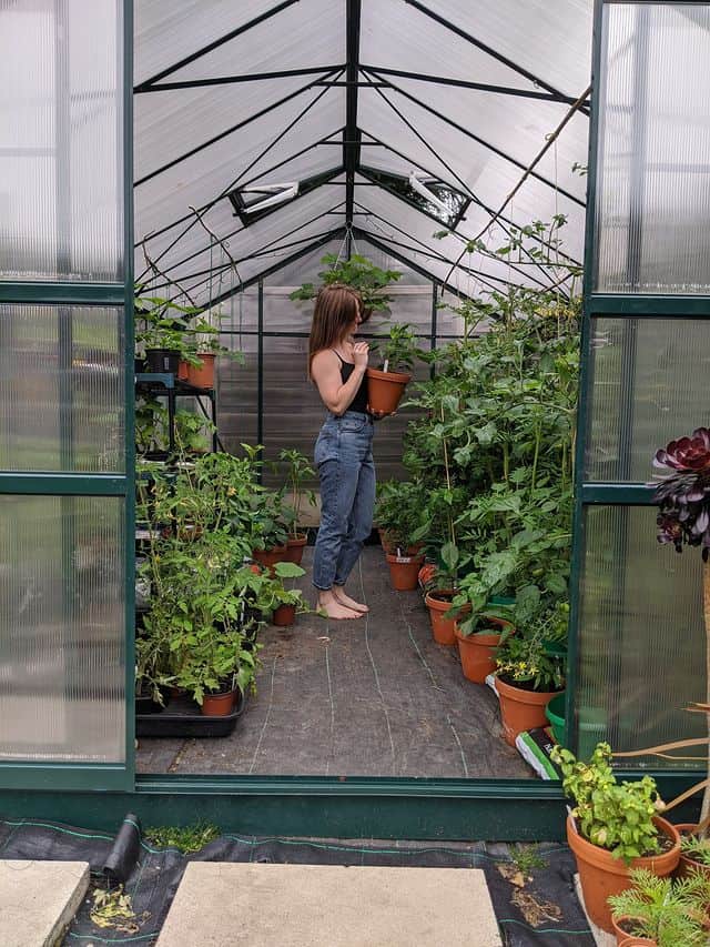 BillyOh Greenhouse Customer's Image