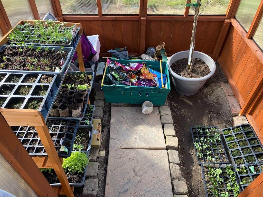 BillyOh Greenhouse Customer's Image