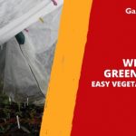 Winter Greenhouses: Easy Vegetables to Grow