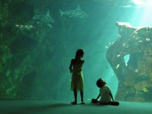 Children staring into the sea