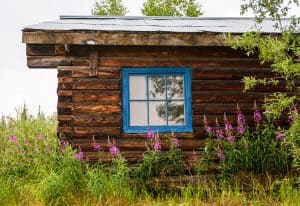 Log cabin in meadow
