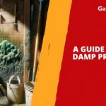 A Guide on How to Damp Proof a Shed
