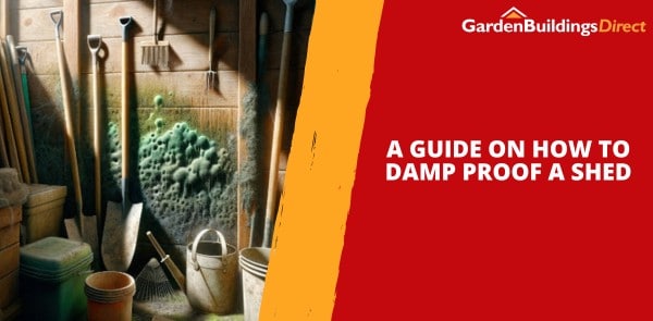 A Guide on How to Damp Proof a Shed