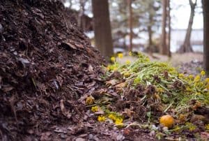 Muddy compost pile with flowers