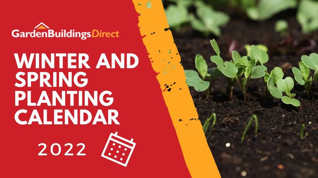 UK Winter and Spring Planting Calendar (2022) Blog GBD