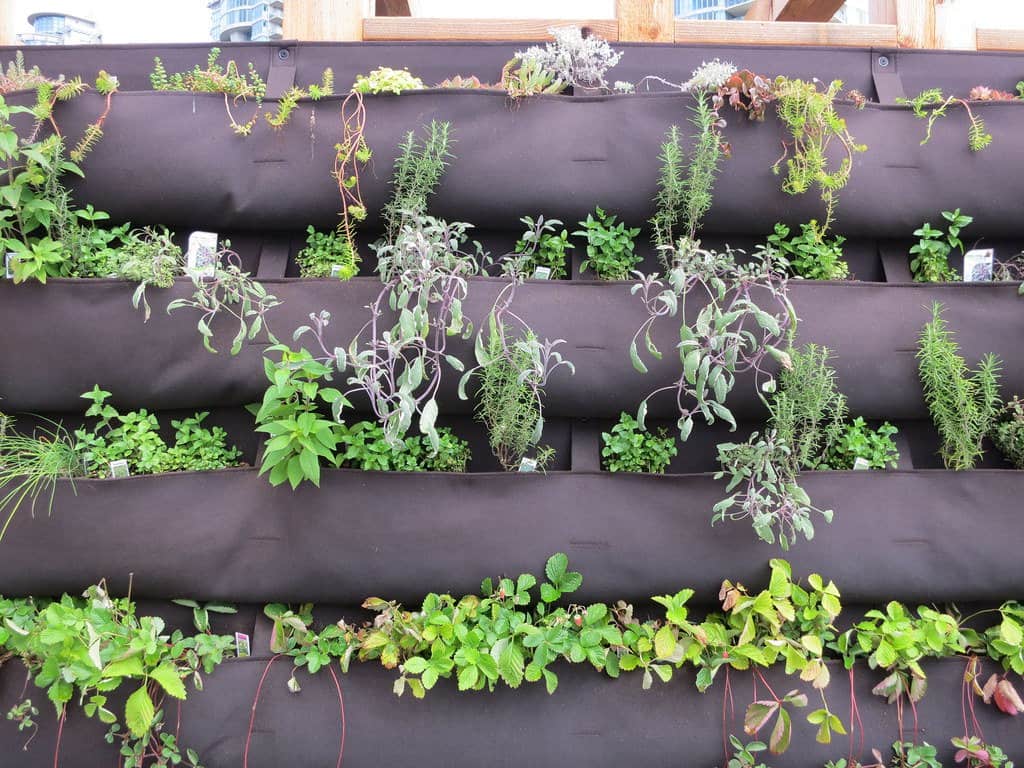 Vertical gardening approach